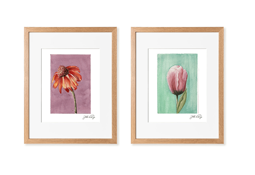 Framed watercolor paintings of an orange coneflower and a pink tulip